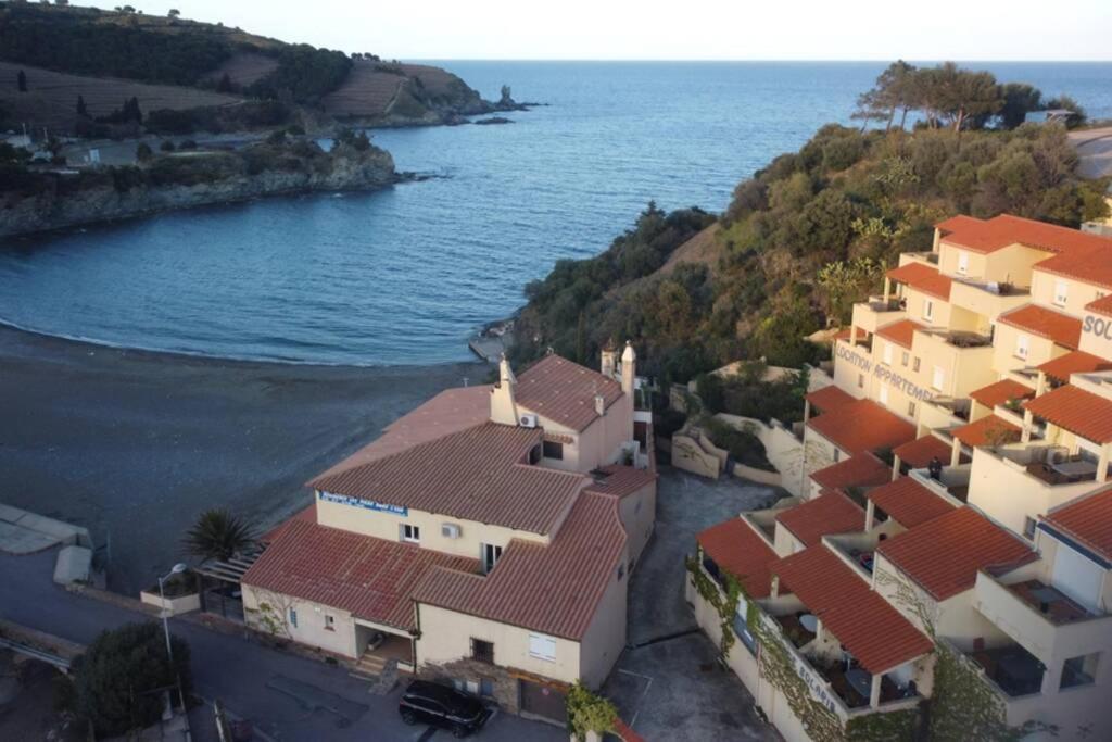 T3 Pieds Dans L'Eau Clim Wifi Terrasse Vue Mer Banyuls-sur-Mer Extérieur photo